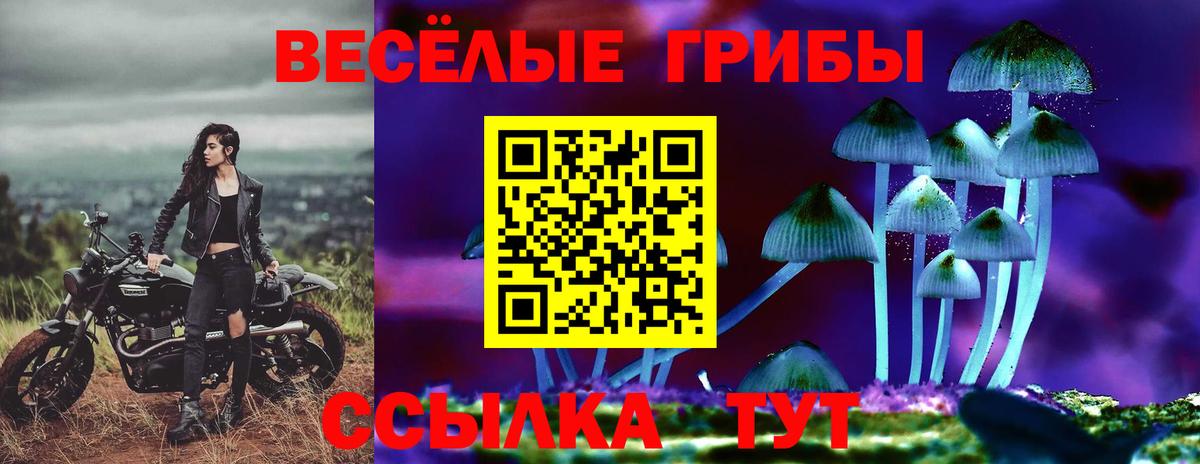 Галлюциногенные грибы мицелий  Вход с VPN  Коряжма 